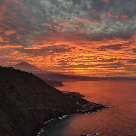 Best View Tenerife Vivienda Vacacional La Matanza De Acentejo Luaran gambar